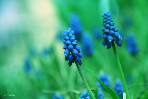 620187 (a): :2560x1707